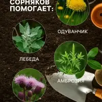 Средство для уничтожения сорняков на картофеле "Лазурит", 20 г