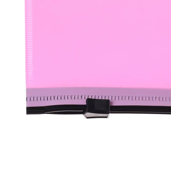 Папка-конверт на ZIP-молнии A5, 150 мкм, Calligrata Pastel, прозрачная, чёрная молния, коралловая Папка-конверт на ZIP-молнии A5, 150 мкм, Calligrata Pastel, прозрачная, чёрная молния, коралловая