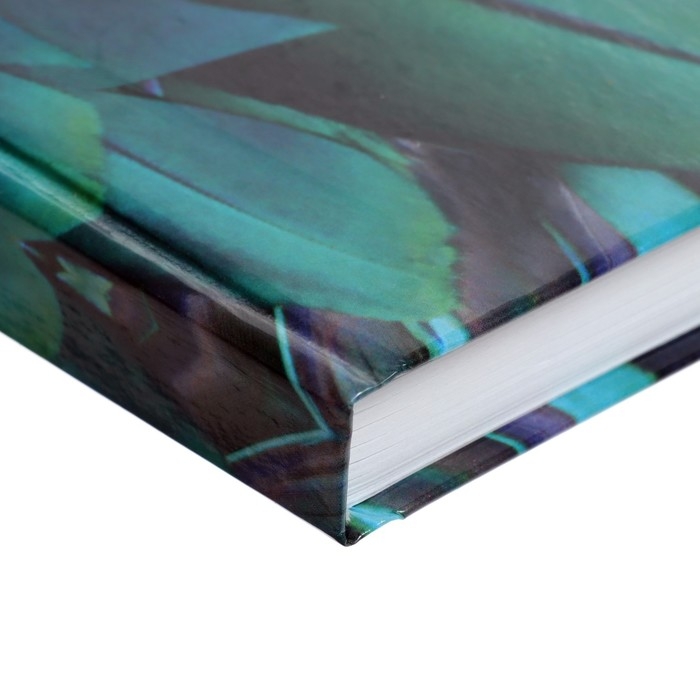 Ежедневник недатированный А5, 128 листов Ежедневник недатированный А5, 128 листов "ЭКЗОТИКА", твёрдая обложка, глянцевая ламинация