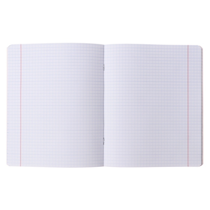 Тетрадь 80 листов в клетку на скрепке Dragon, обложка мелованный картон, матовая лаимнация, тиснение фольгой, МИКС