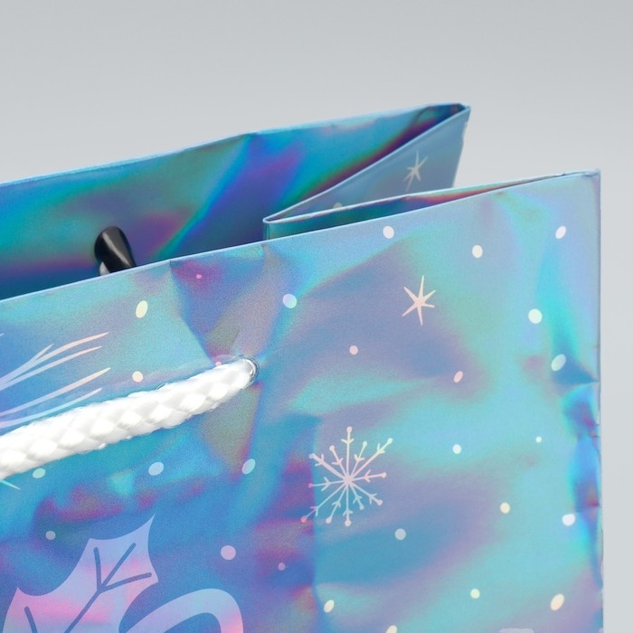 Пакет голографический «Морозко», ML 23 х 27 х 11.5 см, Новый год