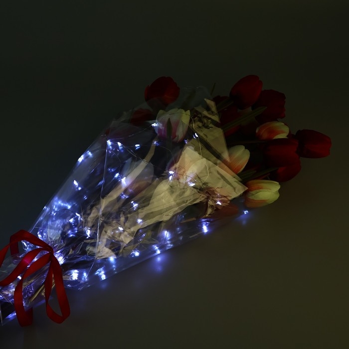 Плёнка упаковочная с гирляндой «Холодный белый», 60 х 60 см Плёнка упаковочная с гирляндой «Холодный белый», 60 х 60 см