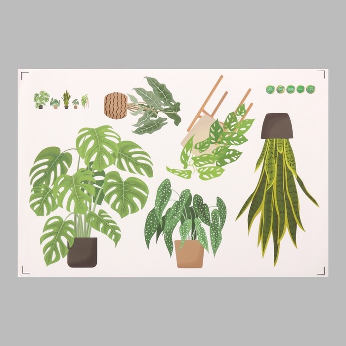 Наклейка пластик интерьерная цветная Наклейка пластик интерьерная цветная "Домашние цветы" 40х60 см