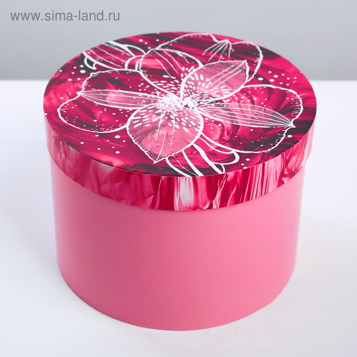 Набор коробок 3 в 1, упаковка подарочная, «Яркий тренд», 18 х 18 х 13‒25 х 25 х 15 см