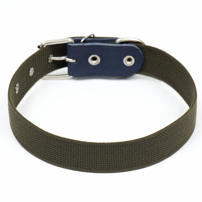 Ошейник брезентовый однослойный, 73 х 3,5 см, ОШ 45-60 см, хаки Ошейник брезентовый однослойный, 73 х 3,5 см, ОШ 45-60 см, хаки