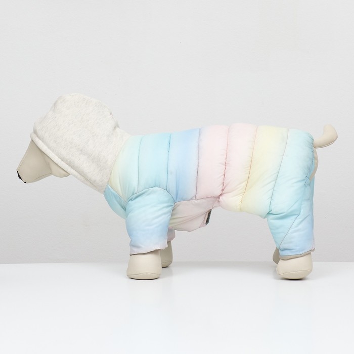 Комбинезон  Комбинезон "Для прогулки", размер 14 (ДС 28 см, ОГ 42 см, ОШ 31 см), пастельный