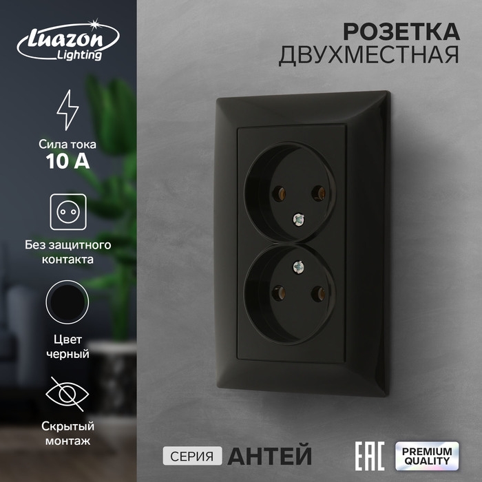 Розетка двухместная Luazon Lighting  Розетка двухместная Luazon Lighting "Антей", 10 А, скрытая, без з/к, черная