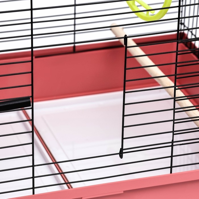 Клетка Клетка "Грация", 2 яруса, 50 х 37 х 37 см, микс цветов