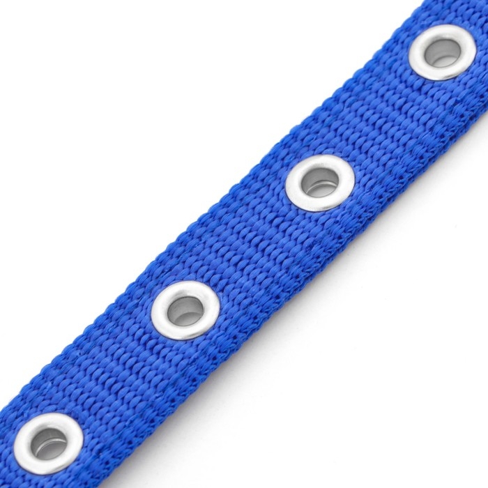 Ошейник Ошейник "Комфорт" комбинированный (полиэстер, искусств. кожа), 45 х 2 см, ОШ 30-39 см, синий