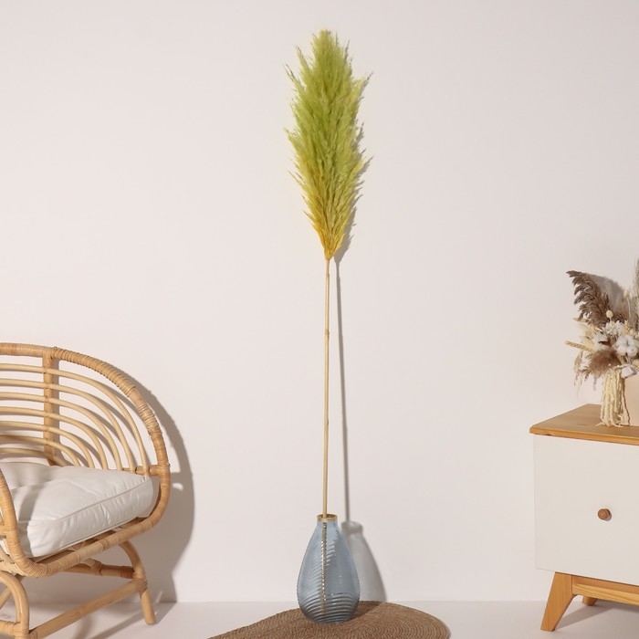 Сухоцвет Сухоцвет "Кортадерия", 1 ветка, длина 140-150 см, яблоко