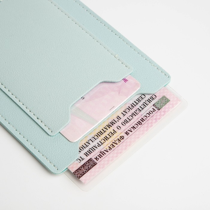 Обложка для автодокументов, цвет голубой