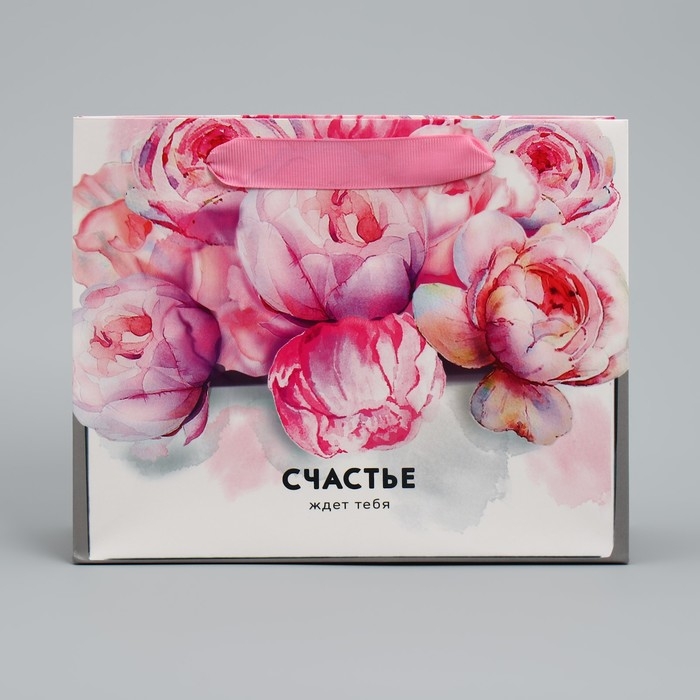 Пакет подарочный ламинированный горизонтальный, упаковка, «Счастье ждёт тебя» 22 х 17,5 х 8 см