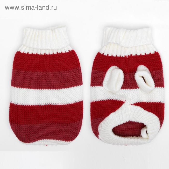 Свитер, размер 6 (24-28 см), микс расцветок Свитер, размер 6 (24-28 см), микс расцветок