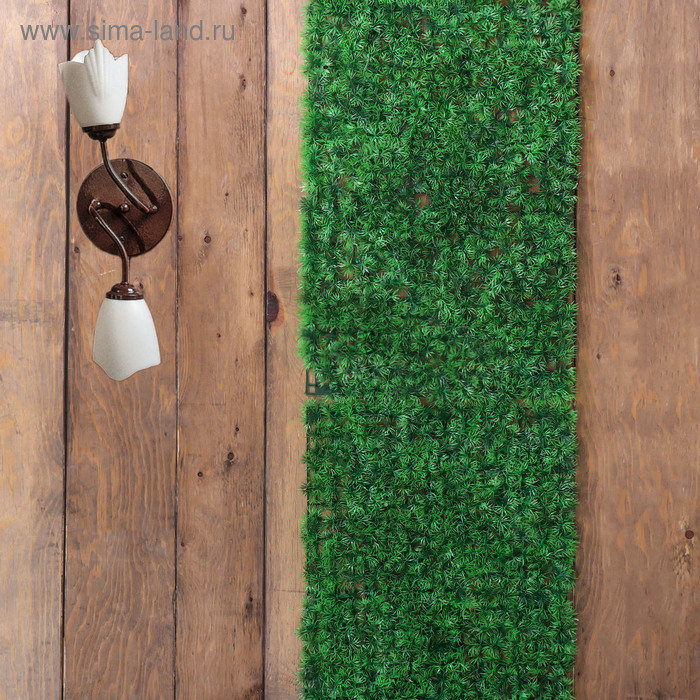 Декоративная панель, 60 × 40 см, «Аспарагус», Greengo Декоративная панель, 60 × 40 см, «Аспарагус», Greengo