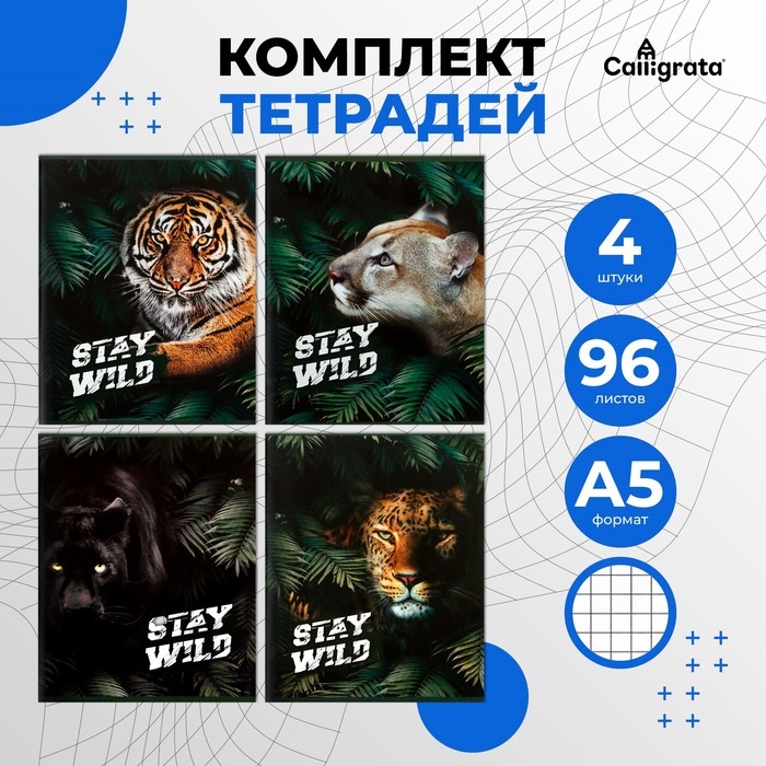 Набор тетрадей 96 листов в клетку Calligrata &laquo;Хищники&raquo;, обложка мелованный картон, блок офсет, 4 шт.