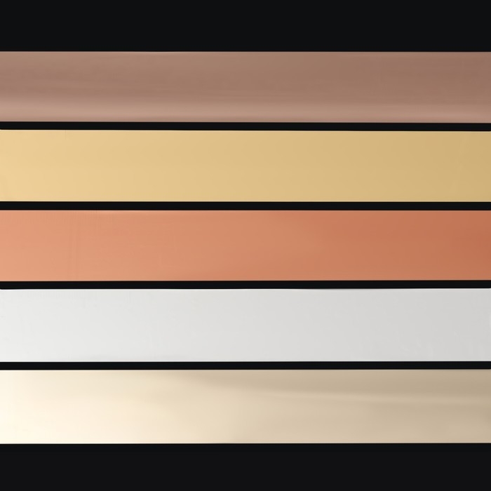 Набор фольги для ногтей «NUDE», 4 × 40 см, 10 шт, в пластиковом органайзере