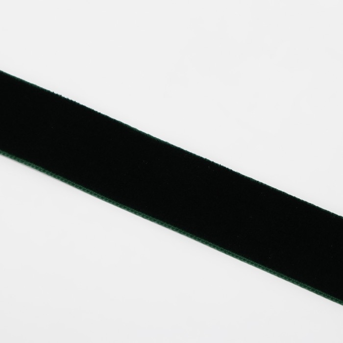 Лента бархатная, 20 мм, 18 ± 1 м, цвет зелёный №165 Лента бархатная, 20 мм, 18 ± 1 м, цвет зелёный №165
