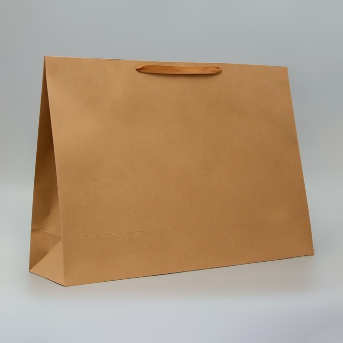 Пакет крафт без печати, 70 x 50 x 20 см 210 гр Пакет крафт без печати, 70 x 50 x 20 см 210 гр