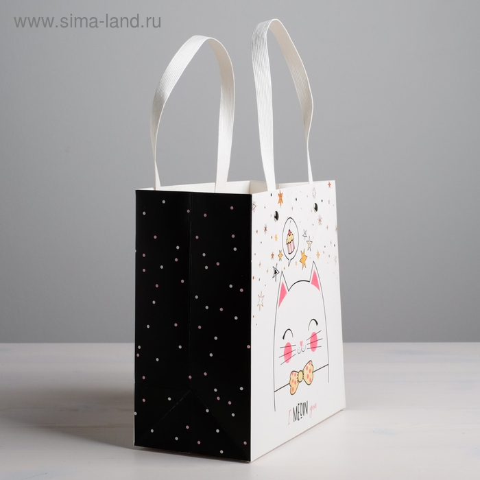 Пакет подарочный, упаковка, «Котик», 20 х 20 х 10 см Пакет подарочный, упаковка, «Котик», 20 х 20 х 10 см