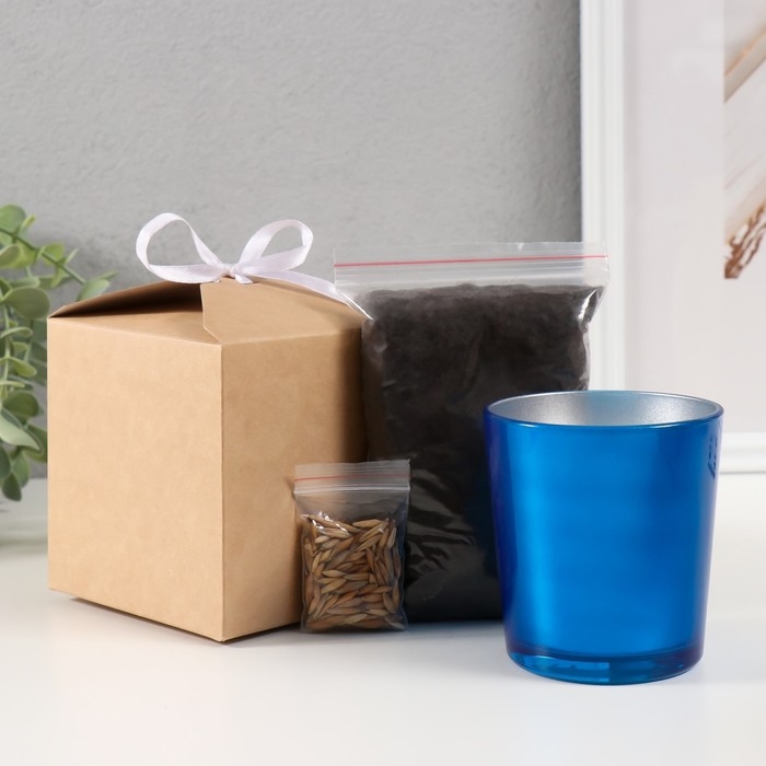 Набор для выращивания растений Набор для выращивания растений "Вырасти травку" синий