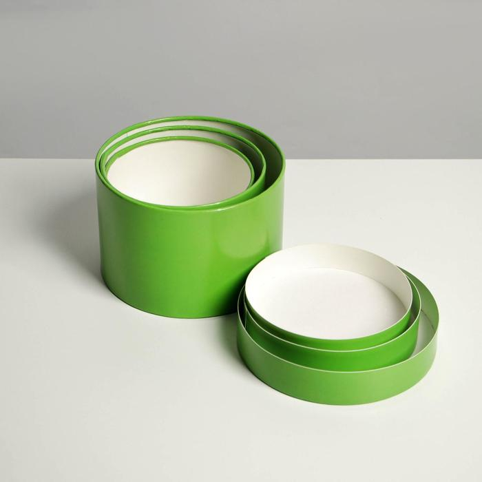 Набор шляпных коробок 3 в 1 салатовый, упаковка подарочная, 16 х 10, 14 х 9, 13 х 8,5 см Набор шляпных коробок 3 в 1 салатовый, упаковка подарочная, 16 х 10, 14 х 9, 13 х 8,5 см