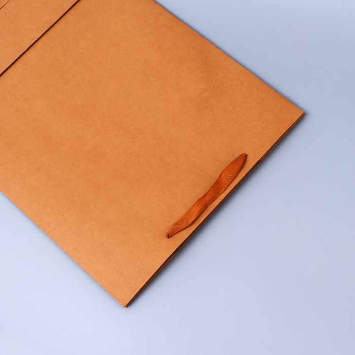 Пакет крафт без печати, 38 х 60 х 20 см 210 гр Пакет крафт без печати, 38 х 60 х 20 см 210 гр