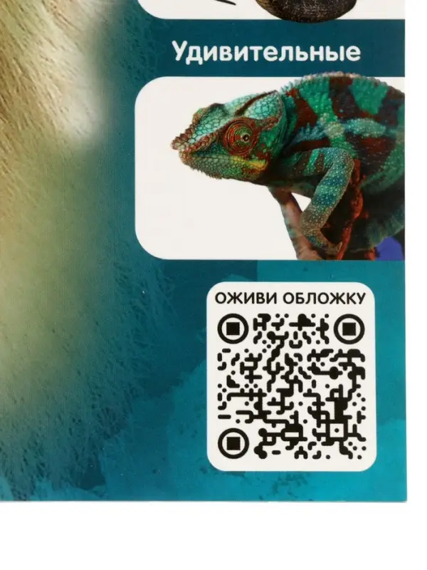 Энциклопедия 4D в дополненной реальности &laquo;Знакомство с животными&raquo;