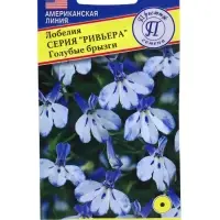 Семена цветов Лобелия кустовая &laquo;Голубые брызги&raquo;, серия &laquo;Ривьера&raquo;, однолетник, мультидраже, 5 шт., &laquo;Престиж семена&raquo;