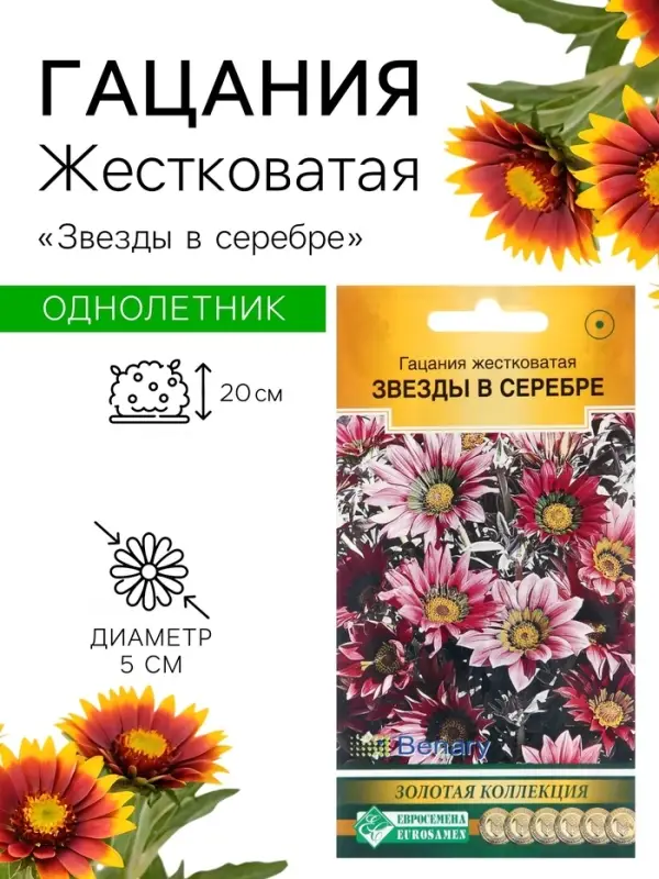 Семена цветов гацания жестковатая &laquo;Звезды в серебре&raquo;, 5 шт.