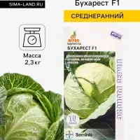 Семена Капуста &laquo;Бухарест&raquo;, F1, 10 шт., &laquo;Агросс&raquo;