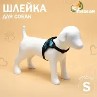 Шлейка К7, размер S, ОГ 44-55 см, вес 5-9 кг, мягкая, светоотражающая, голубая