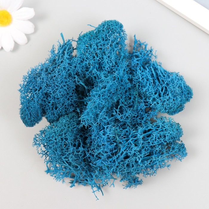 Мох стабилизированный Мох стабилизированный "Морская волна" МИКС 45 гр (+-5 гр)