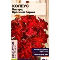 Набор семян цветов Колеус