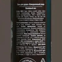 Гель для душа мужской &laquo;С Новым Годом!&raquo;, 100 мл, аромат хвойного леса, Чистое счастье