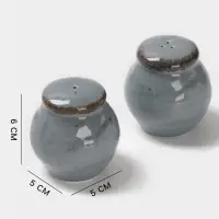 Набор для специй Magistro Alpine Frost, 2 предмета: перечница, солонка, 80 мл, 5&times;6 см, фарфор, голубовато-серый