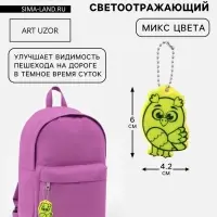 Светоотражающий элемент &laquo;Сова&raquo;, двусторонний, 4.2&times;6 см, цвет МИКС