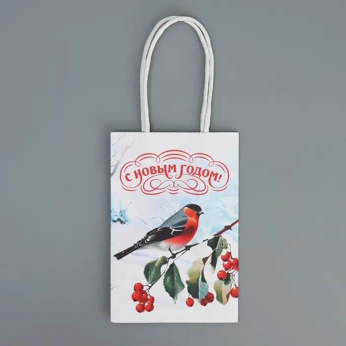 Пакет подарочный новогодний крафтовый «Зимушка», 15 х 10 х 6 см
