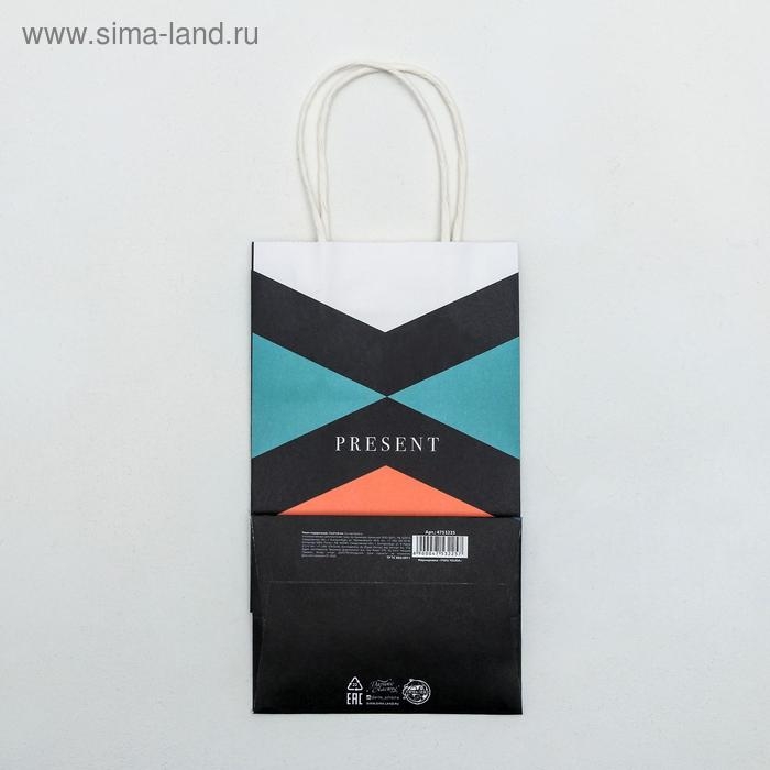 Пакет подарочный крафтовый, упаковка, «Present», 12 х 21 х 9 см Пакет подарочный крафтовый, упаковка, «Present», 12 х 21 х 9 см