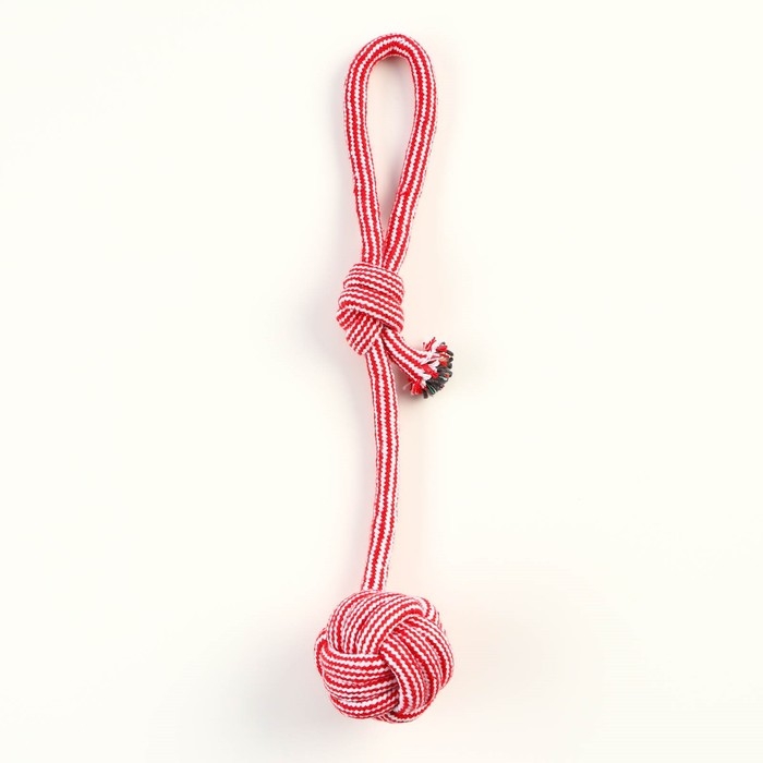 Игрушка-дразнилка для собак с шариком из каната, до 85 г, до 38 см, красная/белая Игрушка-дразнилка для собак с шариком из каната, до 85 г, до 38 см, красная/белая