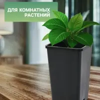 Горшок для рассады, 2 л, 12&times;12&times;17 см, пластик, чёрный