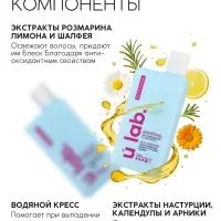 Подарочный набор &laquo;Восстановление&raquo;: шампунь 250 мл, бальзам 250 мл, URAL LAB