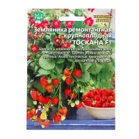 Семена Земляника &laquo;Тоскана&raquo;, F1, 5 шт., ремонтантная, крупноплодная, &laquo;Уральский дачник&raquo;