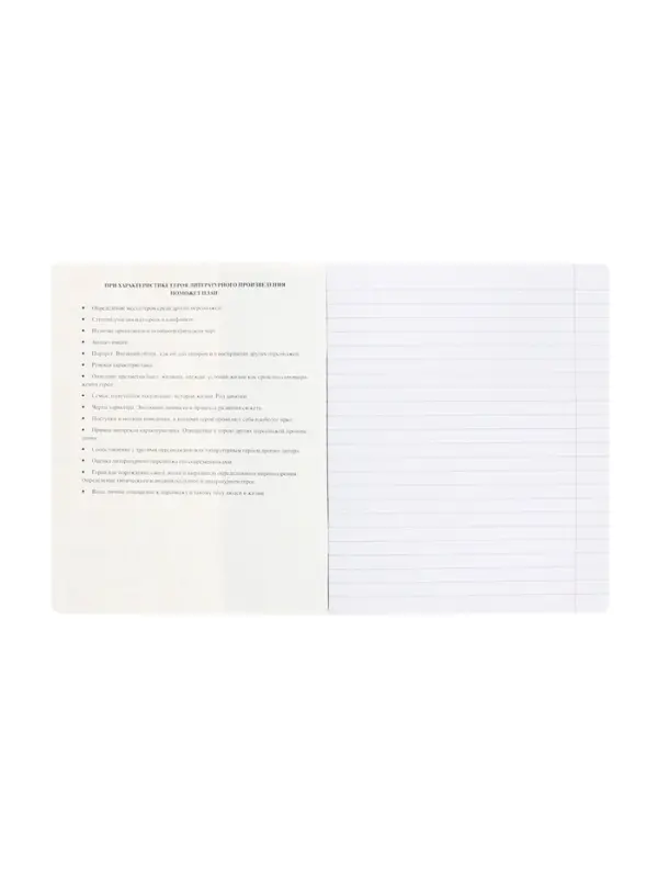 Предметная тетрадь по литературе Hatber &laquo;Буквица&raquo;, 48 листов, в линейку, со справочным материалом, обложка из мелованного картона