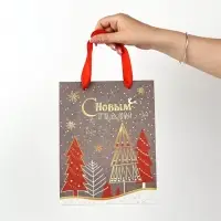 Набор пакетов &laquo;Чудесного Года&raquo;,12&times;15&times;5.5 см, 23&times;18&times;10 см, 23&times;27&times;11.5 см