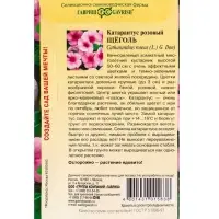 Набор семян комнатных Барвинок &laquo;Щеголь&raquo;, 5 шт.
