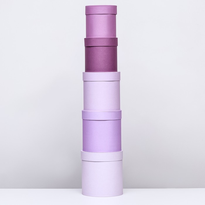 Набор круглых подарочных коробок 5 в 1 «Пудра», 20 × 20 × 20‒13,5 × 13,5 × 13,5 см Набор круглых подарочных коробок 5 в 1 «Пудра», 20 × 20 × 20‒13,5 × 13,5 × 13,5 см