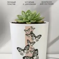Кашпо для цветов &laquo;Бабочки&raquo;, 1.6 л, d=14 см, h=14 см, пластиковое