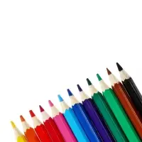 Цветные карандаши 12 цветов ZOO, пластиковые, шестигранные