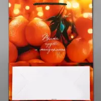 Пакет подарочный новогодний ламинированный, «Новогодние мандарины» , 26×12×32 см Пакет подарочный новогодний ламинированный, «Новогодние мандарины» , 26×12×32 см