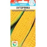 Семена Кукуруза сахарная &laquo;Хуторянка&raquo;, 6 шт., &laquo;Сибирский сад&raquo;